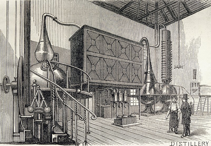 distilleria - 5 tipologie di gin +1 - the spiritual machine